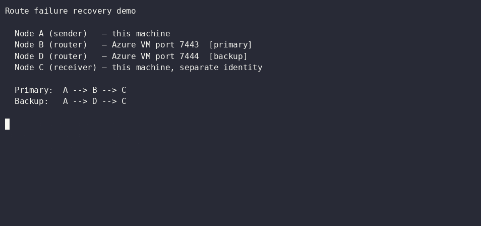 Route failure recovery â€” primary router B killed, traffic re-routed through D